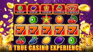 shbet997